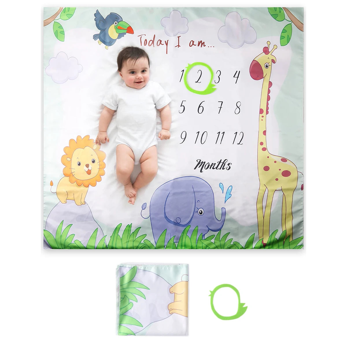 Baby Monthly Milestone Blanket