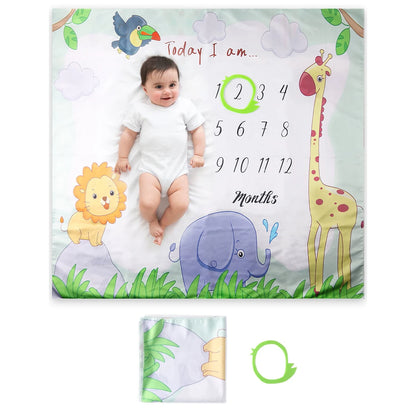Baby Monthly Milestone Blanket