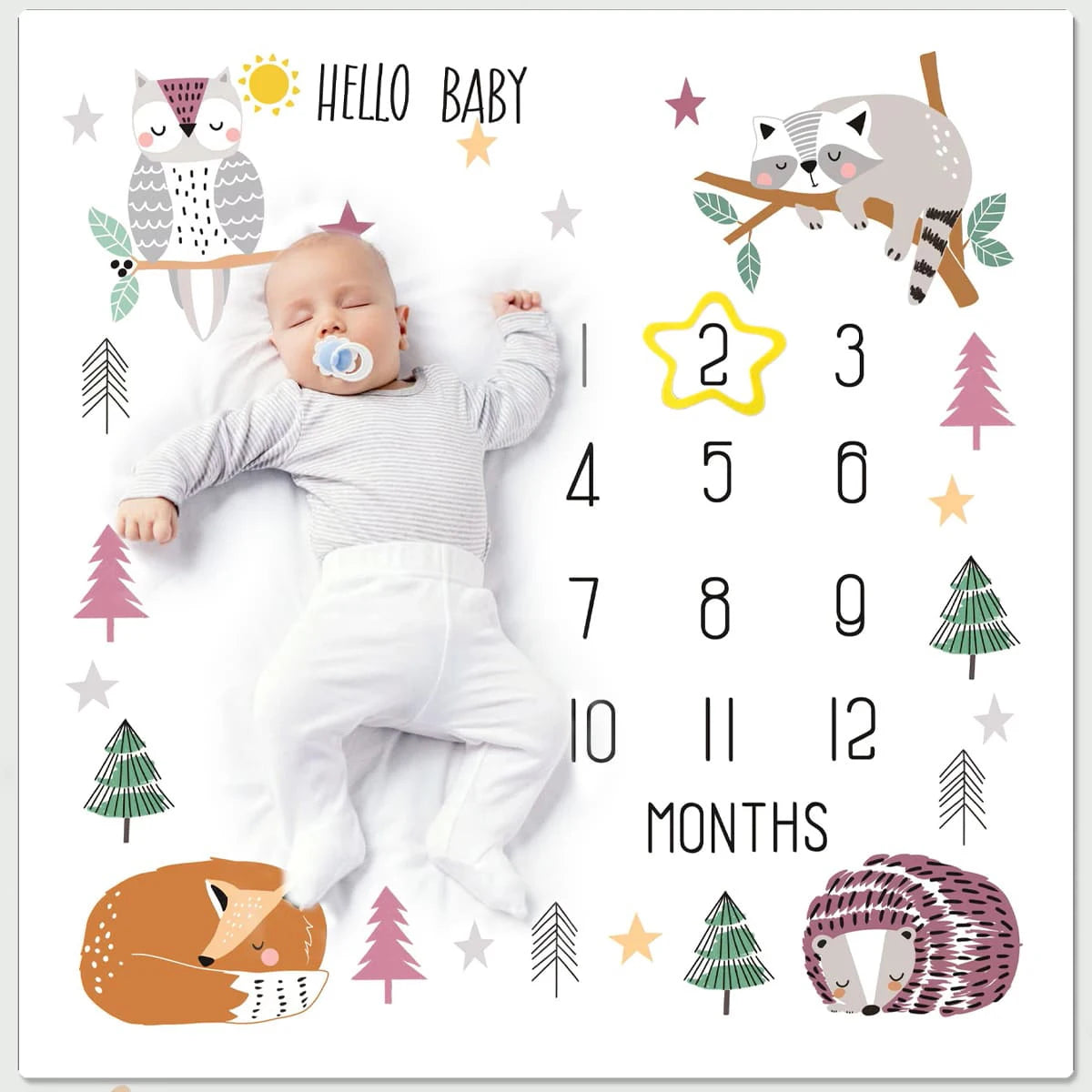 Baby Monthly Milestone Blanket