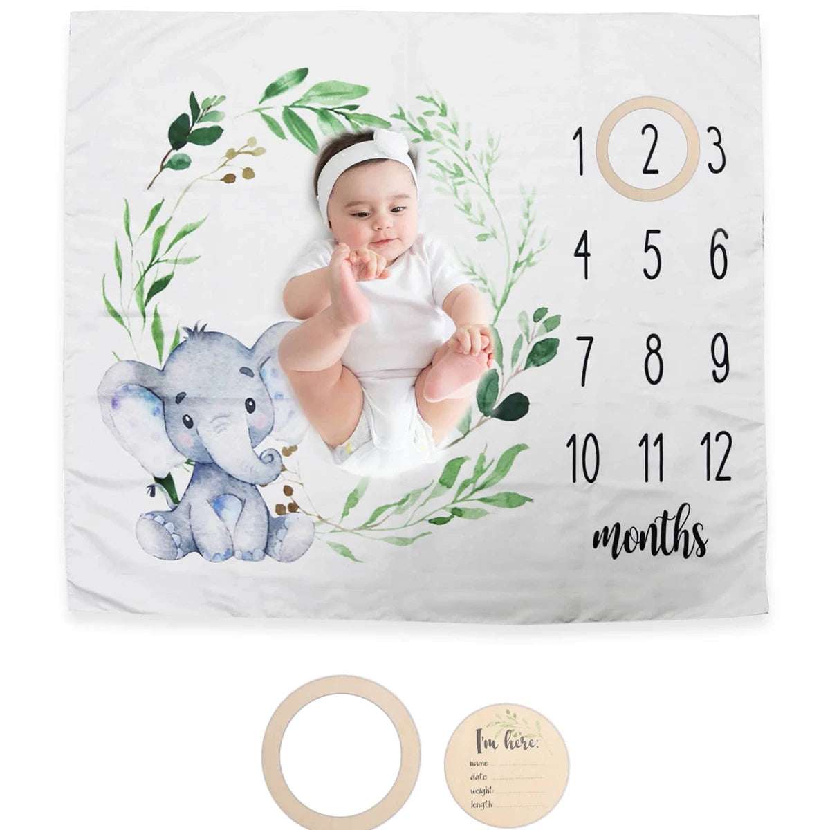 Baby Monthly Milestone Blanket