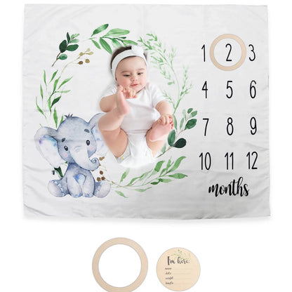 Baby Monthly Milestone Blanket